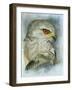 Velocity-Barbara Keith-Framed Giclee Print