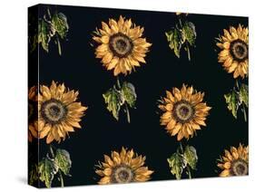 Velours au Sabre: Silk decoration of Sunflowers by Maison Ogier and Duplan, Lyon 1894-null-Stretched Canvas