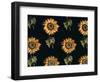 Velours au Sabre: Silk decoration of Sunflowers by Maison Ogier and Duplan, Lyon 1894-null-Framed Giclee Print