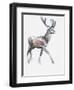 Velvet, 2006-Mark Adlington-Framed Giclee Print