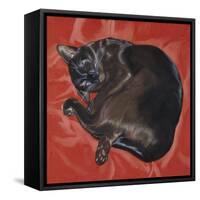 Velvet Cat I (Chat Velours I)-Isy Ochoa-Framed Stretched Canvas