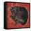Velvet Cat I (Chat Velours I)-Isy Ochoa-Framed Stretched Canvas