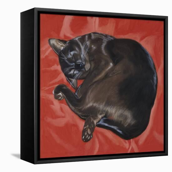 Velvet Cat I (Chat Velours I)-Isy Ochoa-Framed Stretched Canvas