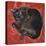 Velvet Cat I (Chat Velours I)-Isy Ochoa-Stretched Canvas