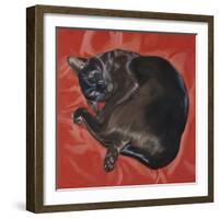 Velvet Cat I (Chat Velours I)-Isy Ochoa-Framed Giclee Print