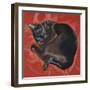 Velvet Cat I (Chat Velours I)-Isy Ochoa-Framed Giclee Print