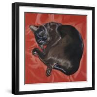 Velvet Cat I (Chat Velours I)-Isy Ochoa-Framed Giclee Print