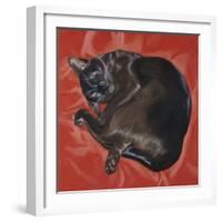 Velvet Cat I (Chat Velours I)-Isy Ochoa-Framed Giclee Print