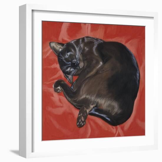 Velvet Cat I (Chat Velours I)-Isy Ochoa-Framed Giclee Print