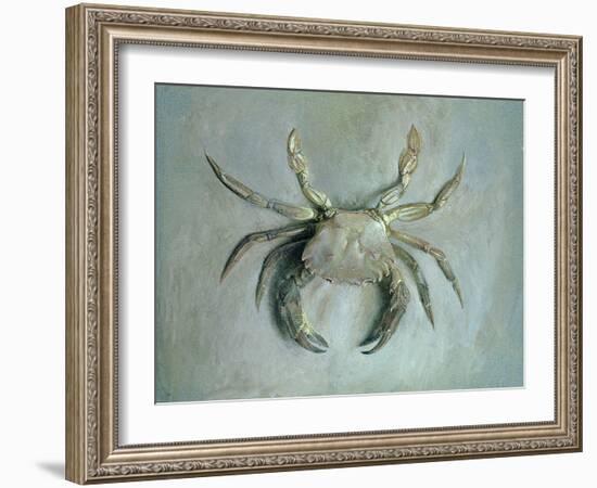 Velvet Crab, 1870-1-John Ruskin-Framed Giclee Print