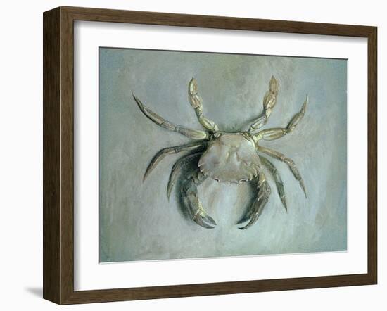 Velvet Crab, 1870-1-John Ruskin-Framed Giclee Print