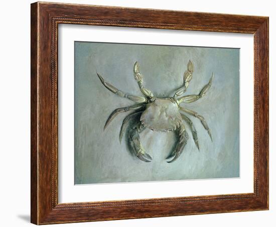 Velvet Crab, 1870-1-John Ruskin-Framed Giclee Print