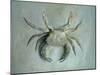 Velvet Crab, 1870-1-John Ruskin-Mounted Giclee Print