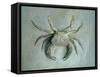 Velvet Crab, 1870-1-John Ruskin-Framed Stretched Canvas