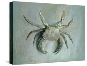 Velvet Crab, 1870-1-John Ruskin-Stretched Canvas