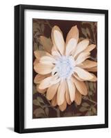 Velvet Daisy 1-Matina Theodosiou-Framed Art Print