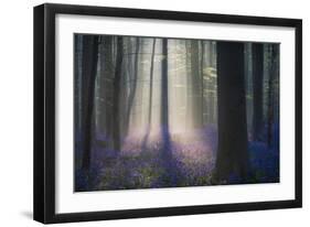 Velvet Light-Adrian Popan-Framed Giclee Print