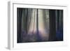 Velvet Light-Adrian Popan-Framed Giclee Print