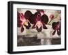 Velvet Orchids-Shin Mills-Framed Art Print