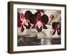 Velvet Orchids-Shin Mills-Framed Art Print