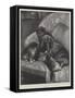 Velvet Paws-Fannie Moody-Framed Stretched Canvas