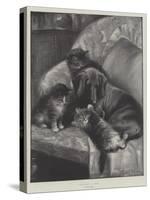 Velvet Paws-Fannie Moody-Stretched Canvas