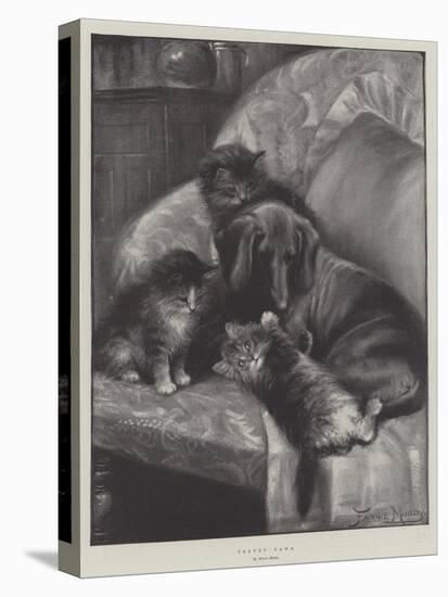 Velvet Paws-Fannie Moody-Stretched Canvas