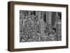 Velvet Views III-Norm Stelfox-Framed Photographic Print