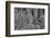 Velvet Views III-Norm Stelfox-Framed Photographic Print