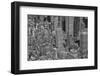 Velvet Views III-Norm Stelfox-Framed Photographic Print