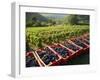 Vendage in the Haut Cote De Beaune, Burgundy, France, Europe-Short Michael-Framed Photographic Print