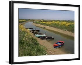 Vendee, Ile d'Olonne, Western Loire, Pays De La Loire, France-Michael Busselle-Framed Photographic Print