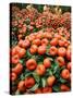 Vendors Clip Mandarin Oranges Trees as They Wait for Customers at a Shopping Mall-null-Stretched Canvas