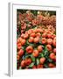 Vendors Clip Mandarin Oranges Trees as They Wait for Customers at a Shopping Mall-null-Framed Photographic Print