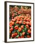 Vendors Clip Mandarin Oranges Trees as They Wait for Customers at a Shopping Mall-null-Framed Photographic Print