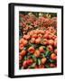 Vendors Clip Mandarin Oranges Trees as They Wait for Customers at a Shopping Mall-null-Framed Photographic Print