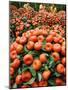 Vendors Clip Mandarin Oranges Trees as They Wait for Customers at a Shopping Mall-null-Mounted Photographic Print