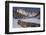 Venegia Valley, Pale Di San Martino, Dolomites-ClickAlps-Framed Photographic Print