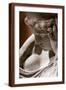 Brown Frame