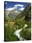 Veneon Valley in the Parc National Des Ecrins, Near Grenoble, Isere, Rhone-Alpes, France-David Hughes-Stretched Canvas