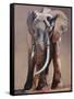 Venerable Old Matriarch-Mark Adlington-Framed Stretched Canvas