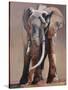 Venerable Old Matriarch-Mark Adlington-Stretched Canvas