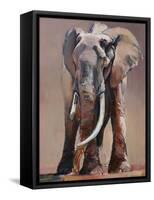 Venerable Old Matriarch-Mark Adlington-Framed Stretched Canvas