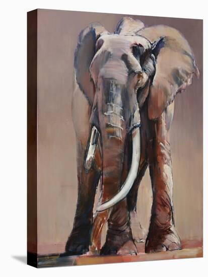 Venerable Old Matriarch-Mark Adlington-Stretched Canvas