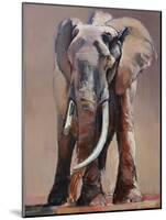 Venerable Old Matriarch-Mark Adlington-Mounted Giclee Print