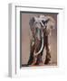 Venerable Old Matriarch-Mark Adlington-Framed Premium Giclee Print