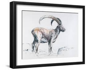 Venerando Stambecco, 2006-Mark Adlington-Framed Giclee Print