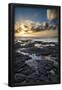 Essential Black