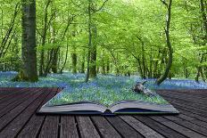 Magical Book with Contents Spilling into Landscape Background-Veneratio-Photographic Print