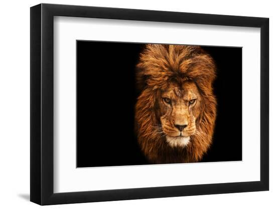 Premium Photographic Print, , large